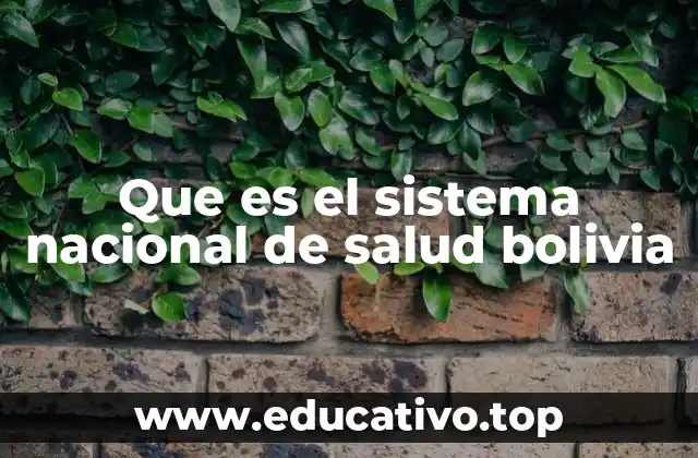 Que es el sistema nacional de salud bolivia