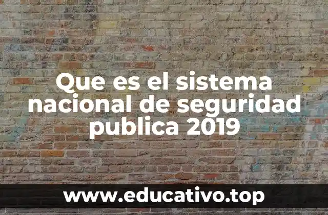 Que es el sistema nacional de seguridad publica 2019