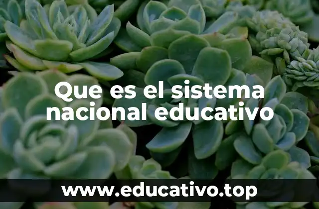 Que es el sistema nacional educativo