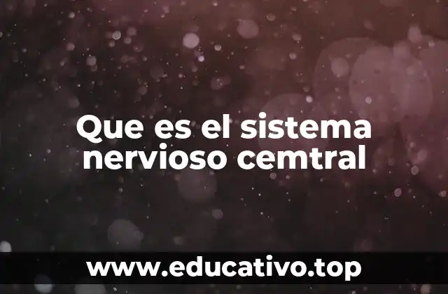 Que es el sistema nervioso cemtral