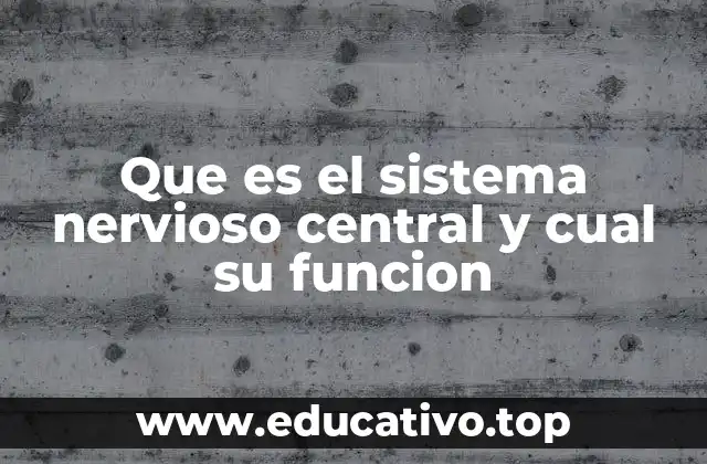 El sistema nervioso central como el núcleo de la vida consciente