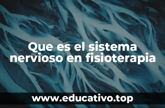 Que es el sistema nervioso en fisioterapia