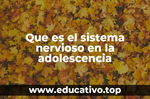 El desarrollo cerebral durante la transición a la vida adulta