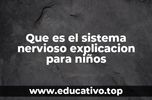 Que es el sistema nervioso explicacion para niños