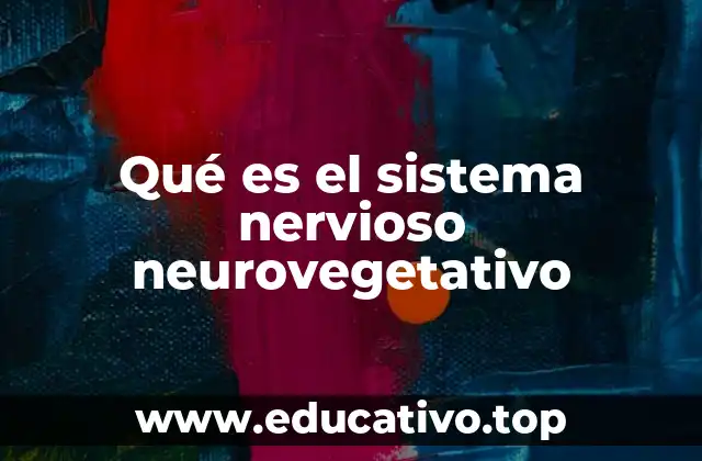 Qué es el sistema nervioso neurovegetativo
