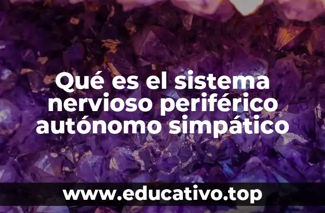 Qué es el sistema nervioso periférico autónomo simpático