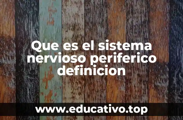 Que es el sistema nervioso periferico definicion