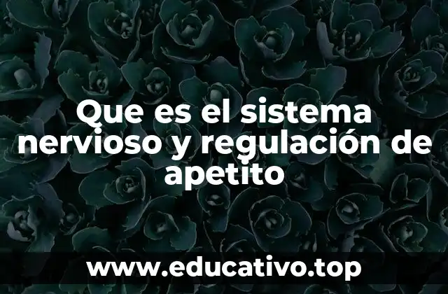 Cómo el sistema nervioso controla la ingesta alimentaria