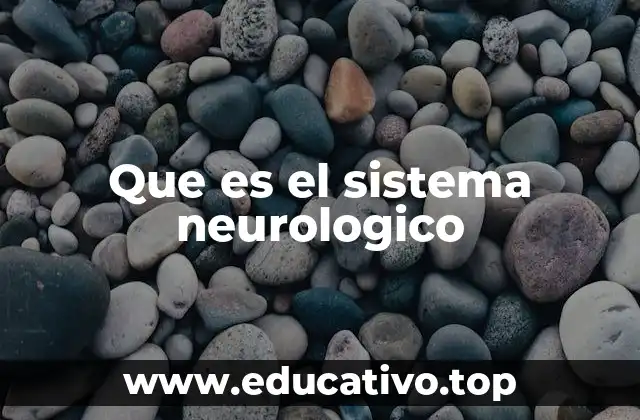 Que es el sistema neurologico