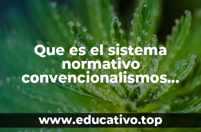 Que es el sistema normativo convencionalismos sociales