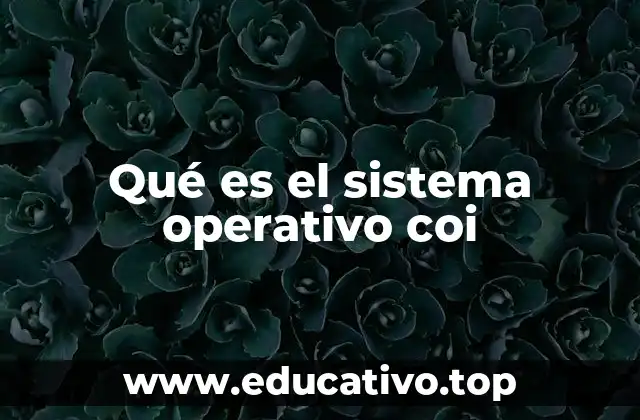 Qué es el sistema operativo coi