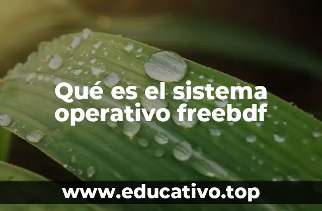 Qué es el sistema operativo freebdf