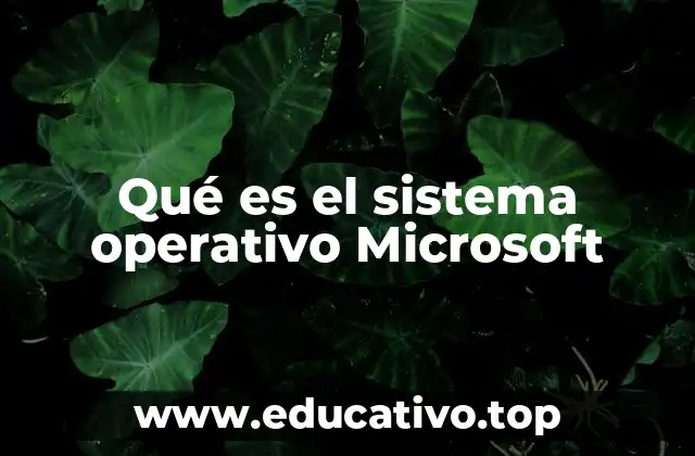 Qué es el sistema operativo Microsoft