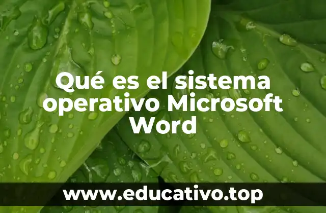 Qué es el sistema operativo Microsoft Word