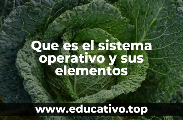 Que es el sistema operativo y sus elementos