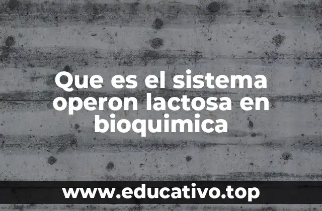 Que es el sistema operon lactosa en bioquimica