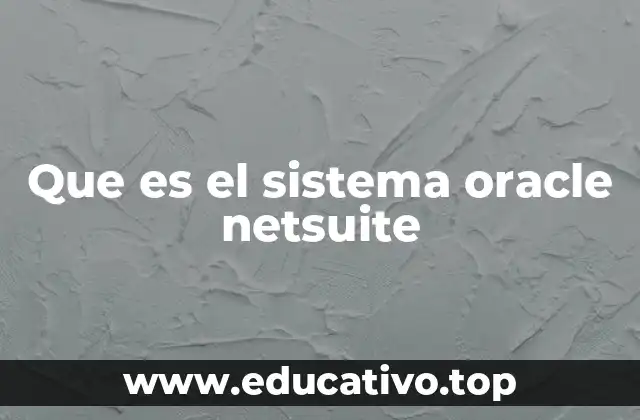 Que es el sistema oracle netsuite
