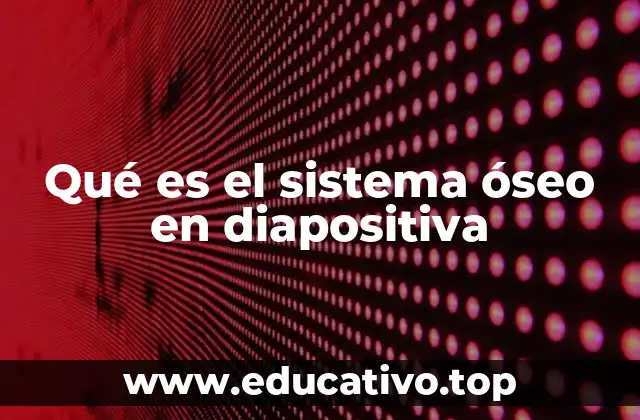 Qué es el sistema óseo en diapositiva