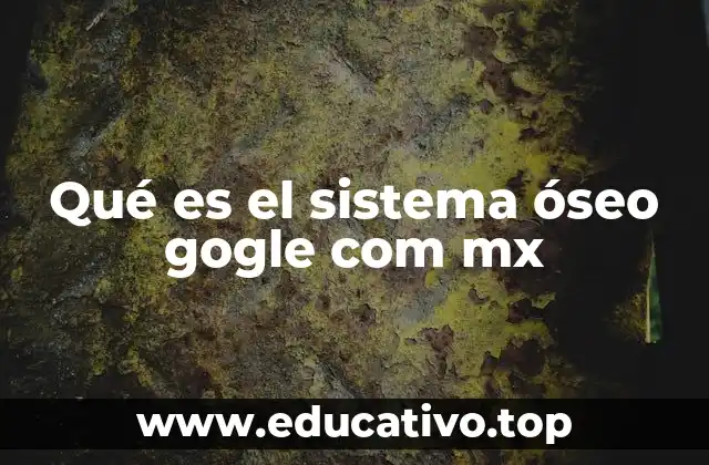 Qué es el sistema óseo gogle com mx