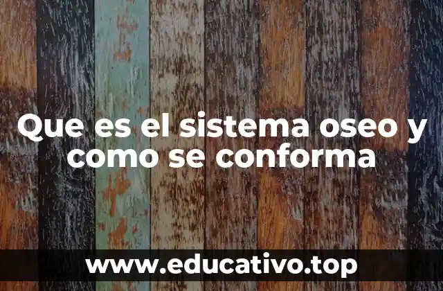 Que es el sistema oseo y como se conforma