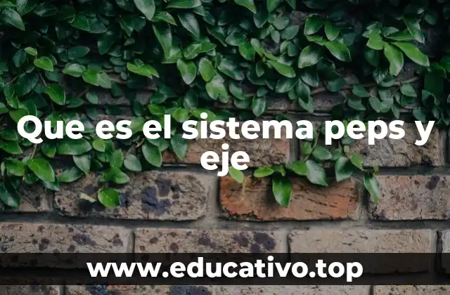 Que es el sistema peps y eje