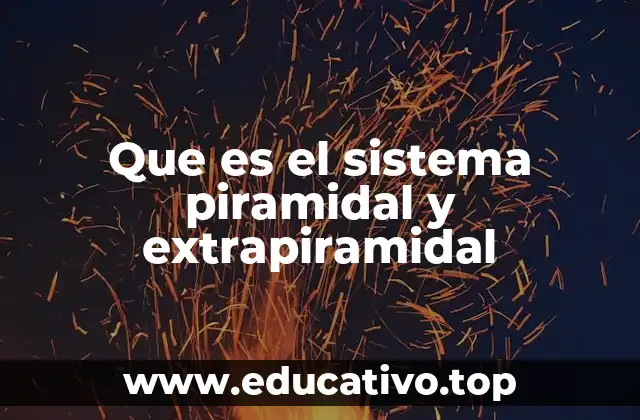 Que es el sistema piramidal y extrapiramidal