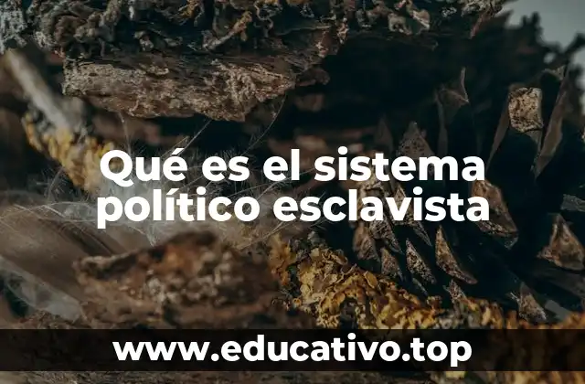 Orígenes y características de la esclavitud como base política