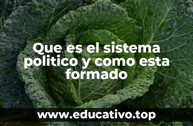 Que es el sistema politico y como esta formado