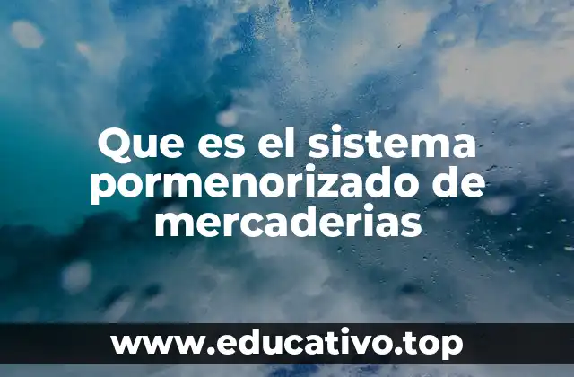 Que es el sistema pormenorizado de mercaderias