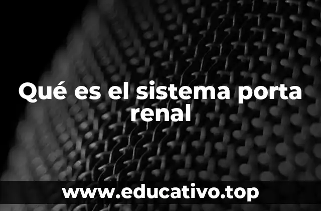 Qué es el sistema porta renal