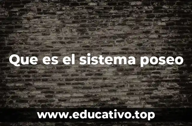 Que es el sistema poseo