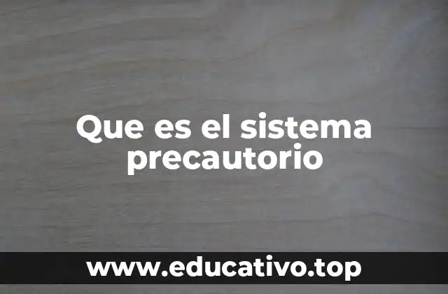 Que es el sistema precautorio