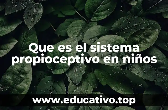 Que es el sistema propioceptivo en niños