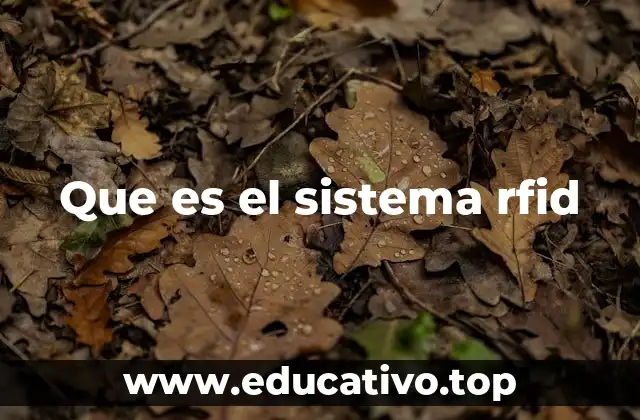 Cómo funciona la identificación por radiofrecuencia