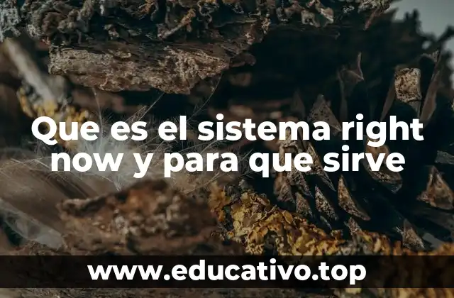 Que es el sistema right now y para que sirve