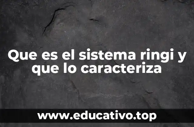 Que es el sistema ringi y que lo caracteriza