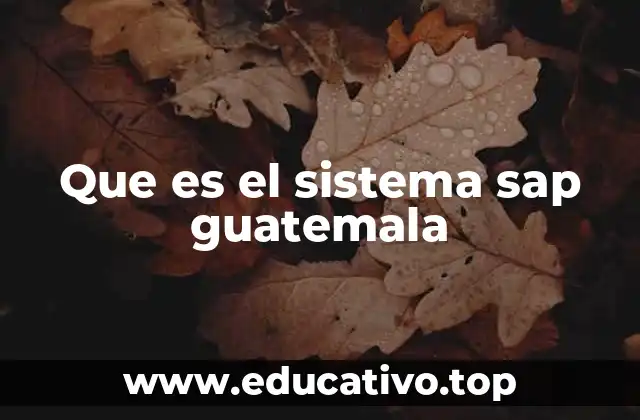 Que es el sistema sap guatemala