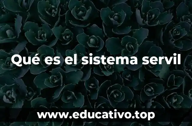 Qué es el sistema servil