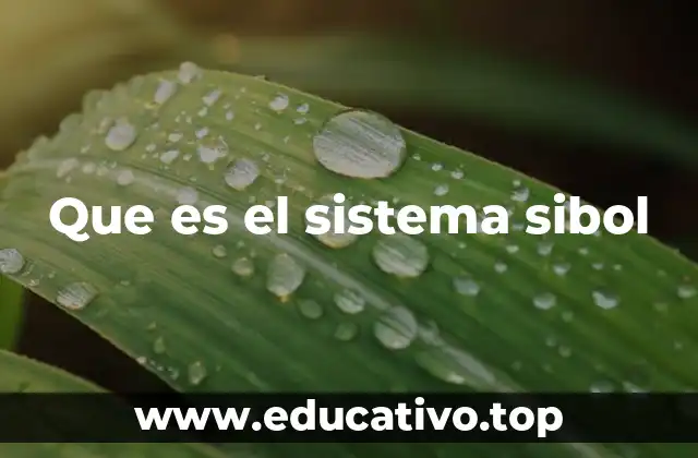 Que es el sistema sibol