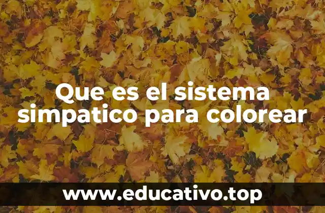 Que es el sistema simpatico para colorear