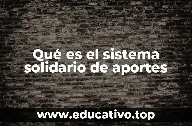 Qué es el sistema solidario de aportes