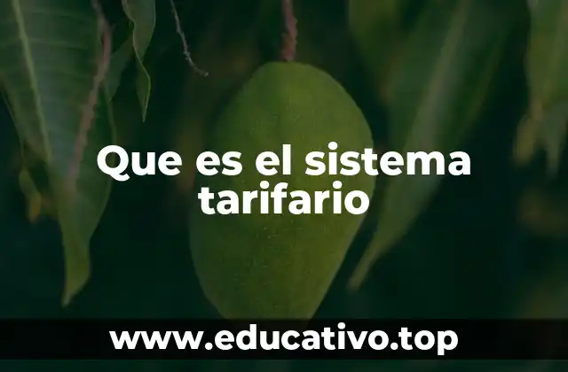 La importancia del sistema tarifario en la economía