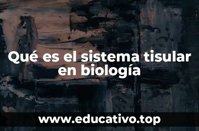 Qué es el sistema tisular en biología