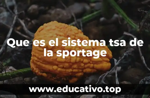 Que es el sistema tsa de la sportage