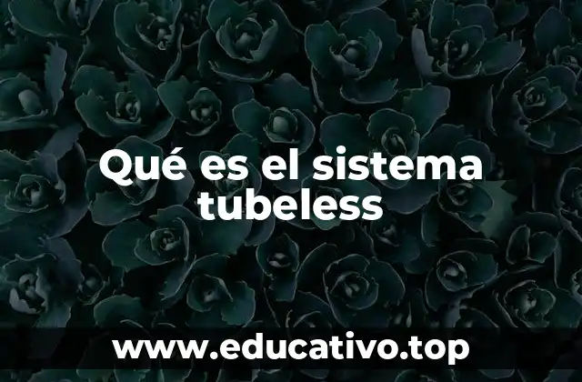 Qué es el sistema tubeless