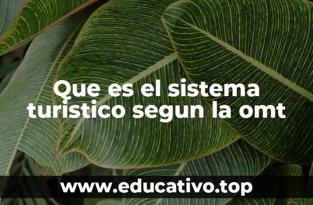Que es el sistema turistico segun la omt