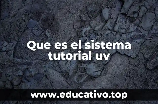Apoyo integral para la formación universitaria en la UV