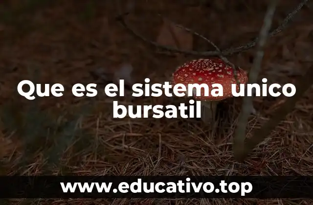 Que es el sistema unico bursatil