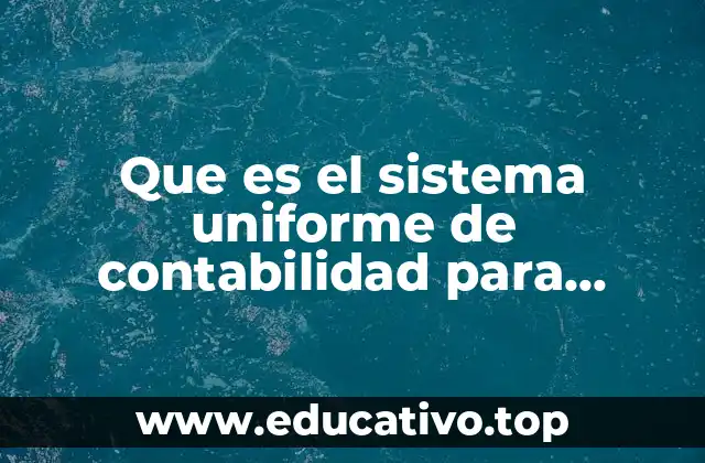 Que es el sistema uniforme de contabilidad para empresas