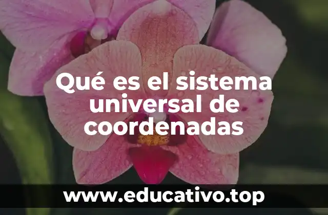 Qué es el sistema universal de coordenadas